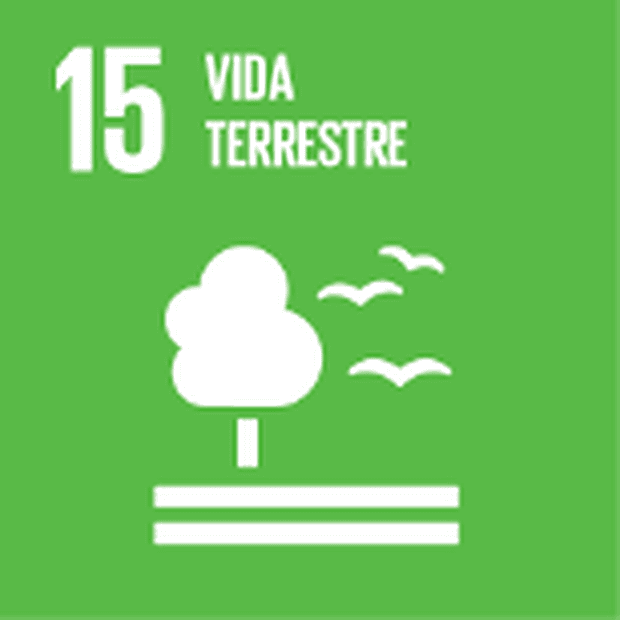 ODS 15 - Vida terrestre